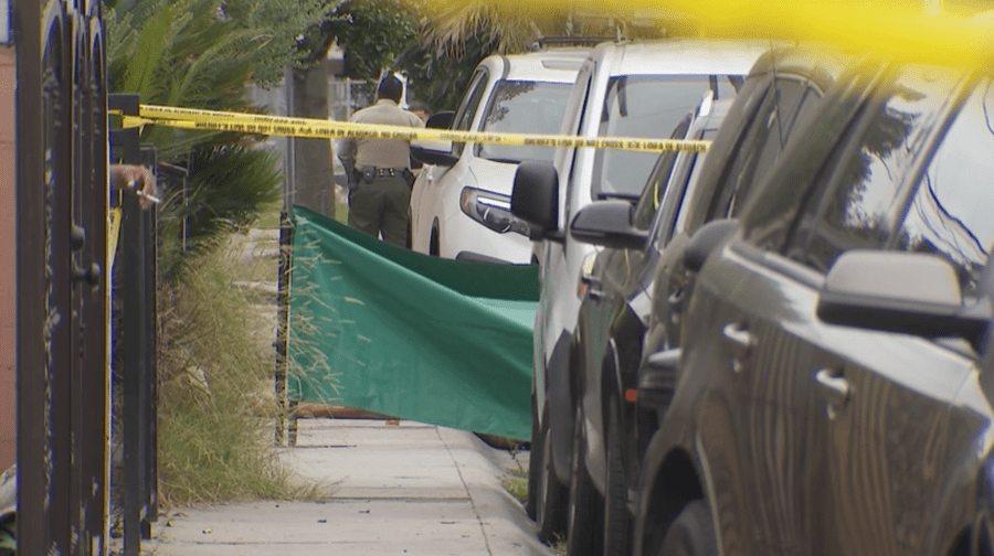 Irene Gonzalez was fatally shot and collapsed on the ground between two parked cars near 12514 Oak Street in Lynwood and was later discovered by a passerby on Sept. 15, 2024. (KTLA)